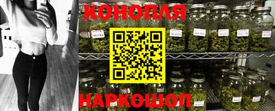 крисы Канаш