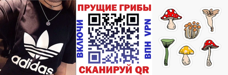 купить наркоту Нефтекамск Галлюциногенные грибы мухоморы