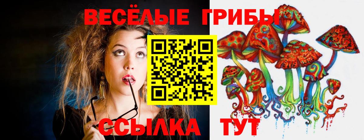 Псилоцибиновые грибы Psilocybine cubensis Нефтекамск