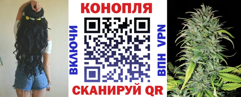 Шишки марихуана марихуана  Нефтекамск 